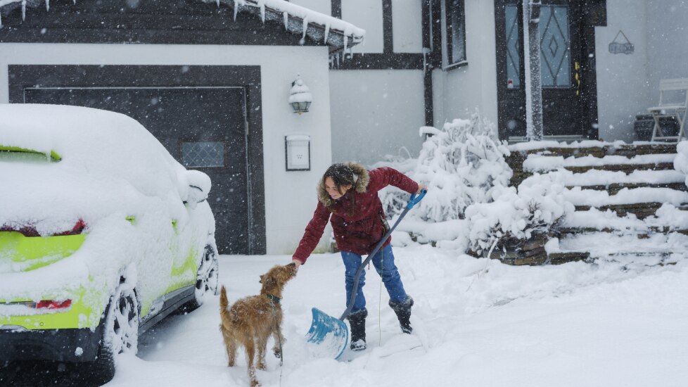 antifreeze poisoning in dogs; a woman shovels her driveaway during a snow storm.